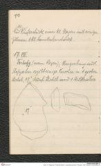 Seite 14, Tagebuch "Paläolithstation | Lang-Mannersdorf | Parzelle 1325" (NHMW-PRAE-BBB-16)